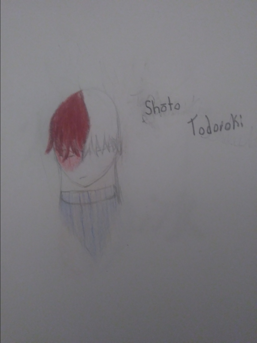 |Shoto Todoroki|