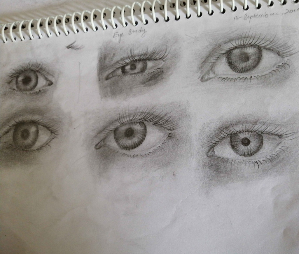 Eye study