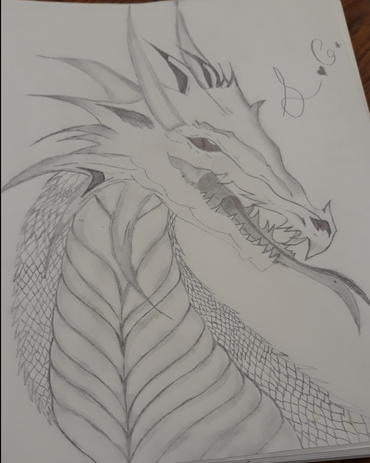 best dragon drawings ever