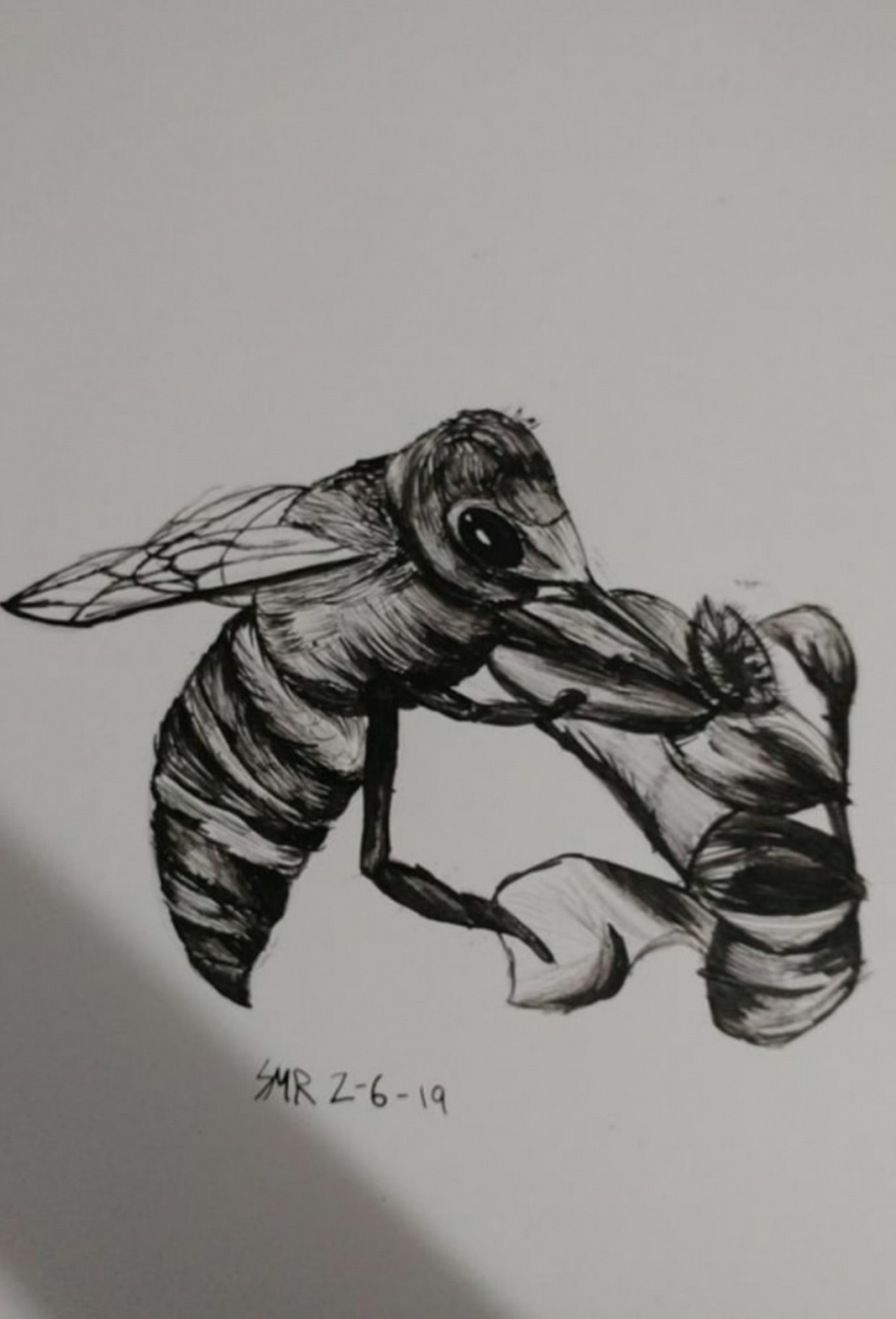 Bee - 9th grade art project