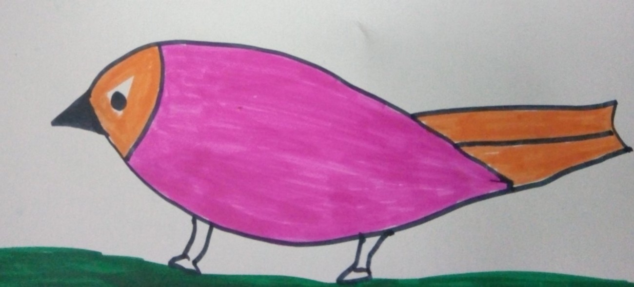 Bird drawing is colourful