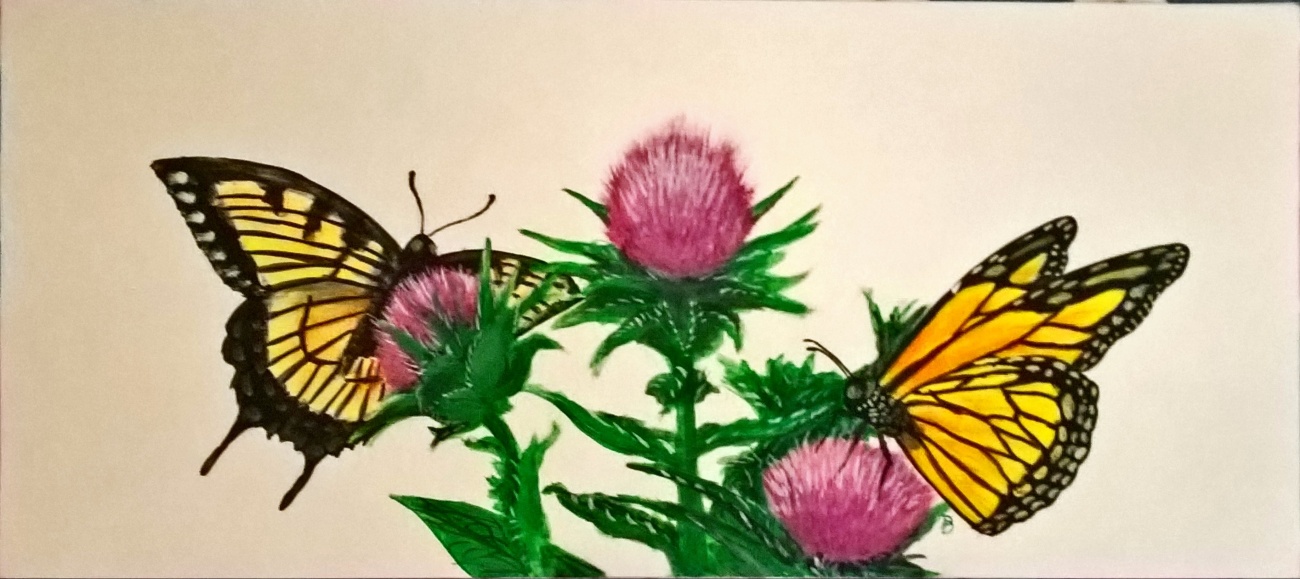 Butterflies on thistles