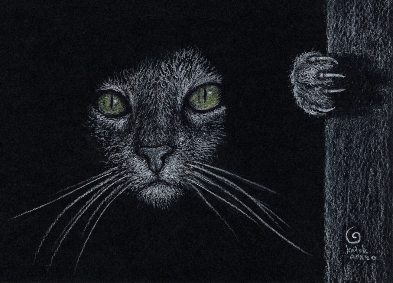 Cat in the dark. 