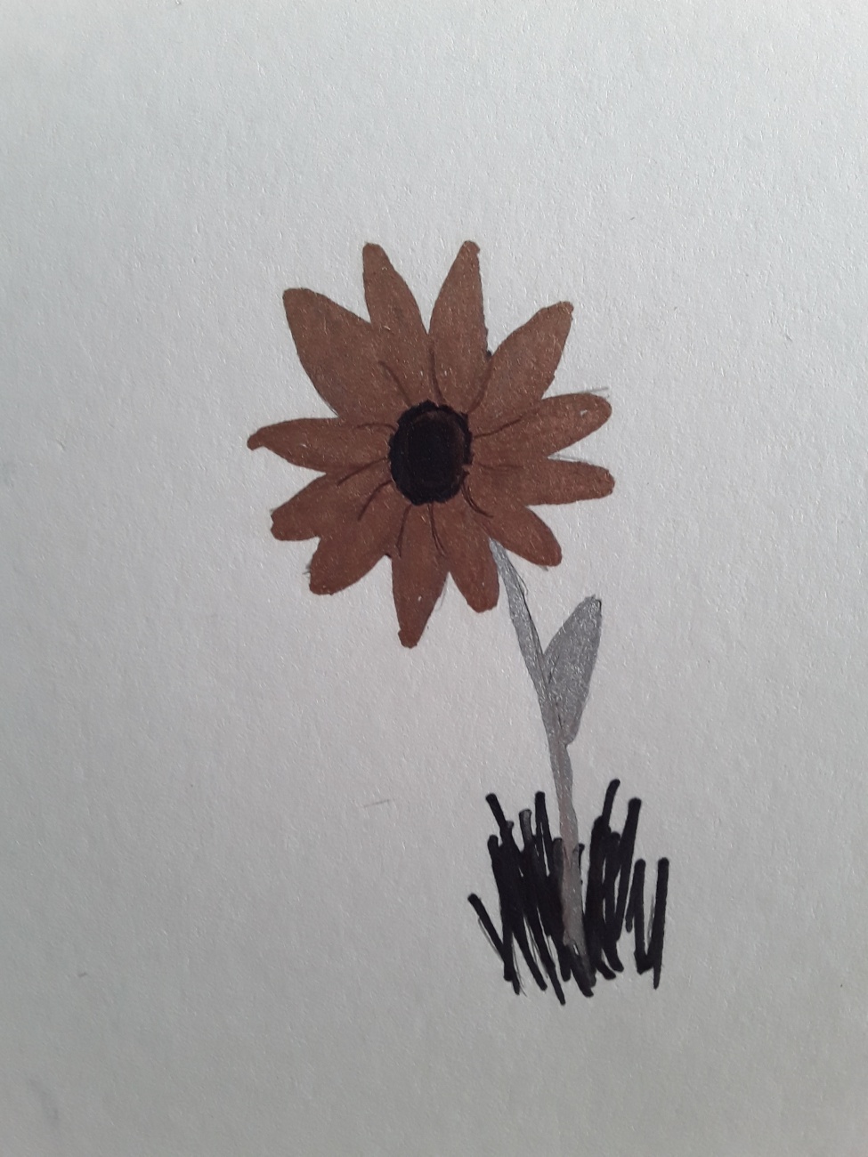 |Darkmoor Sunflower|