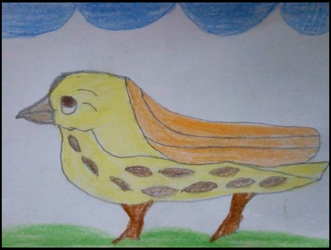 Drawing of Bird which is Yellow and O...