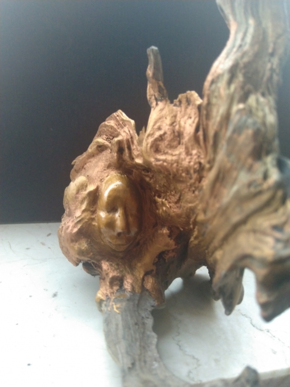 Driftwood Spirit