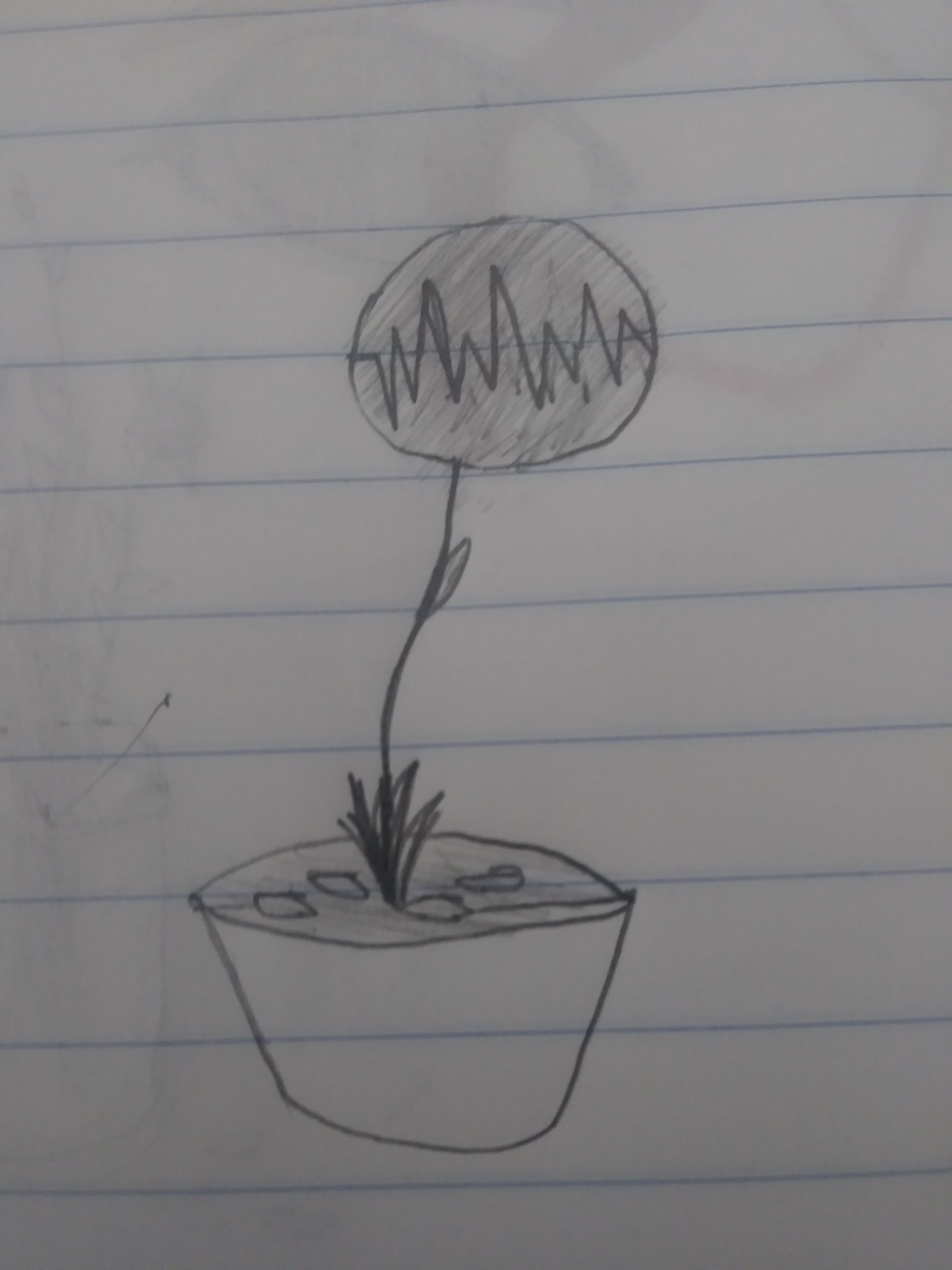 |If I was a plant.|