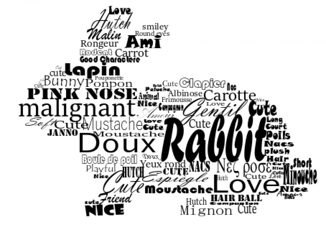 Mon lapin. / My rabbit.