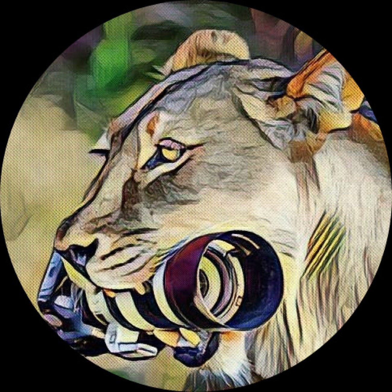 MS BARBARA'S LIONESS... The idea to c...