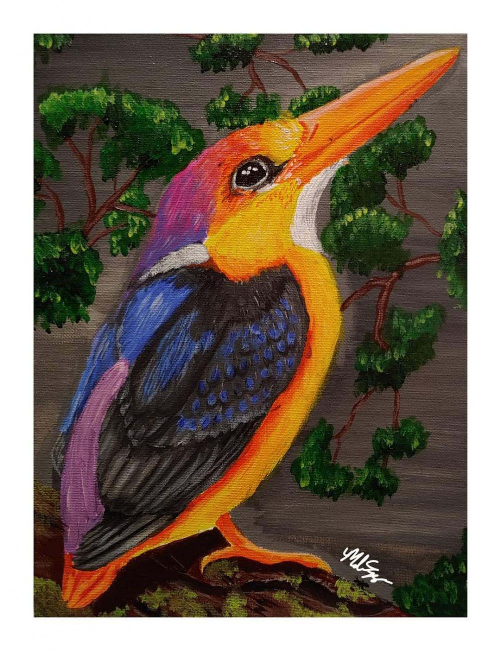 Oriental kingfisher