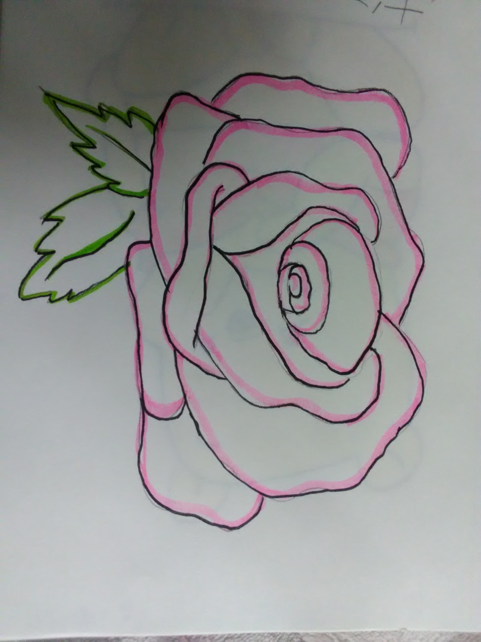 Rose