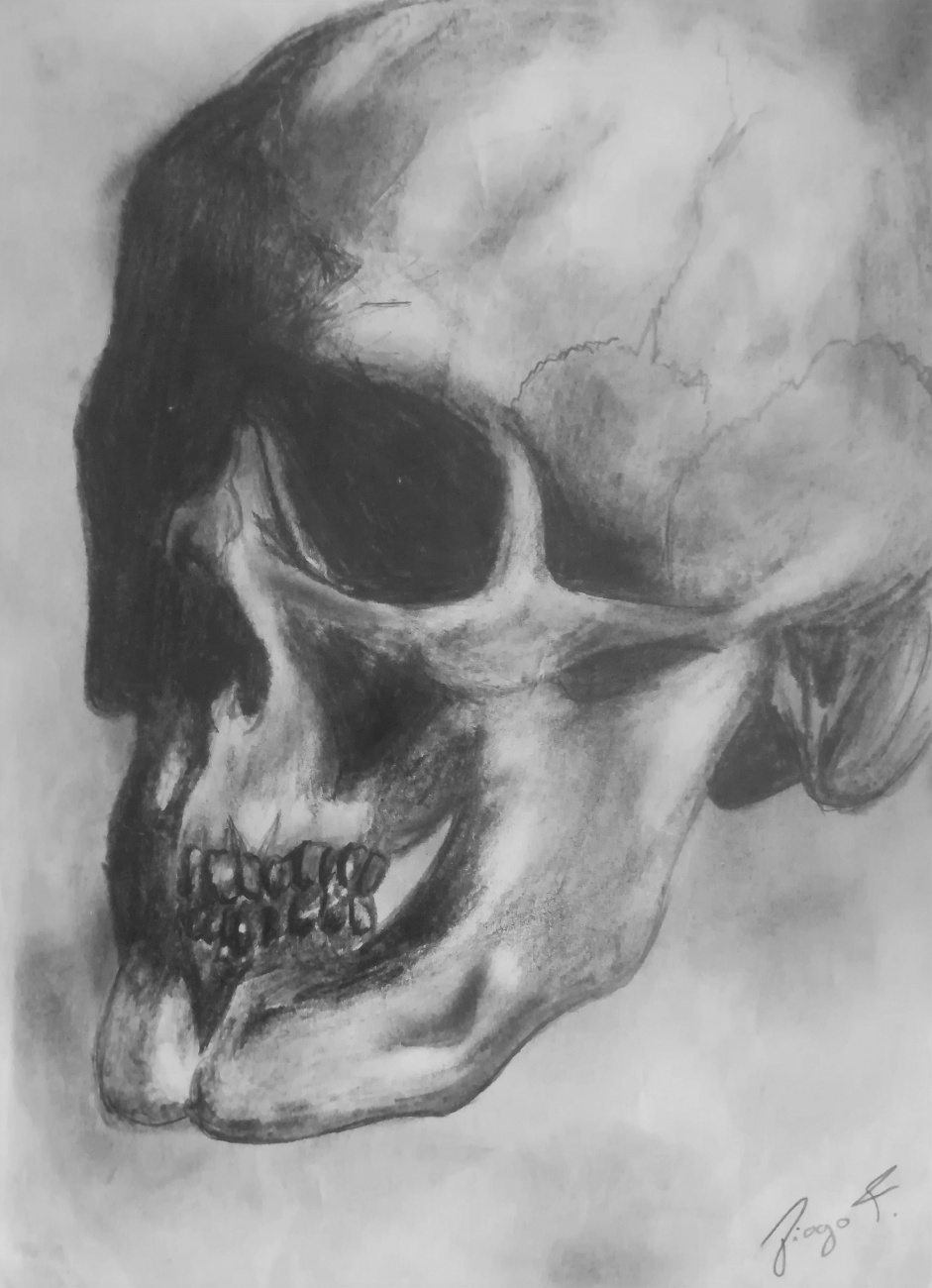 Skull - Draw w/ pencil