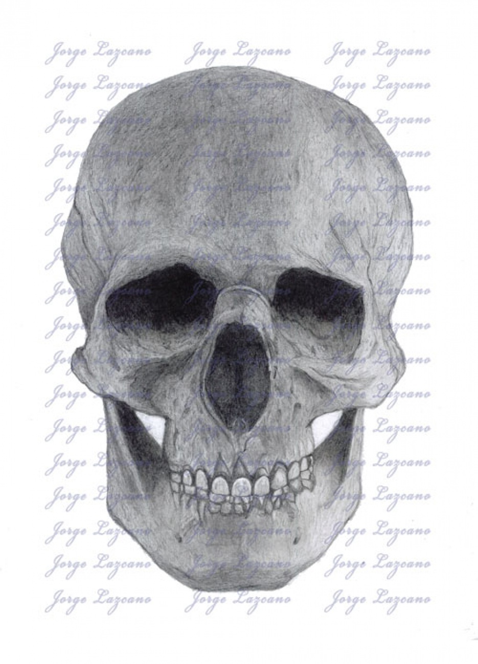 Skull Graphite