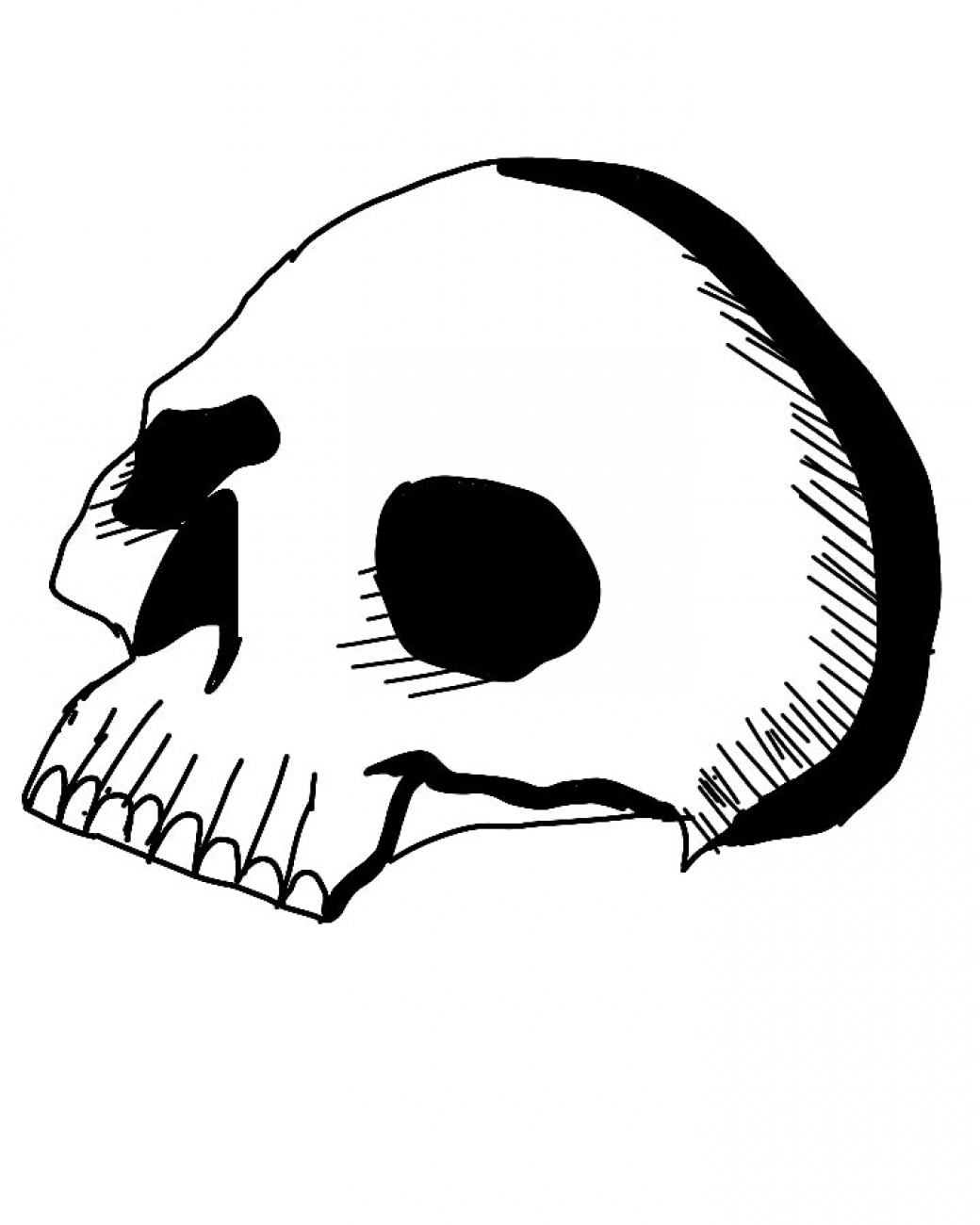 Skulls 