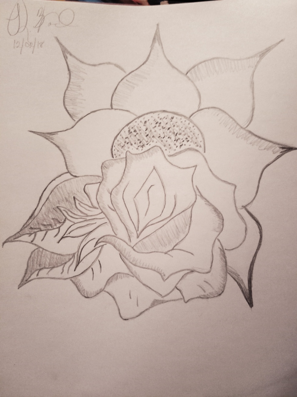 #SunFlowerAndRoseSketch