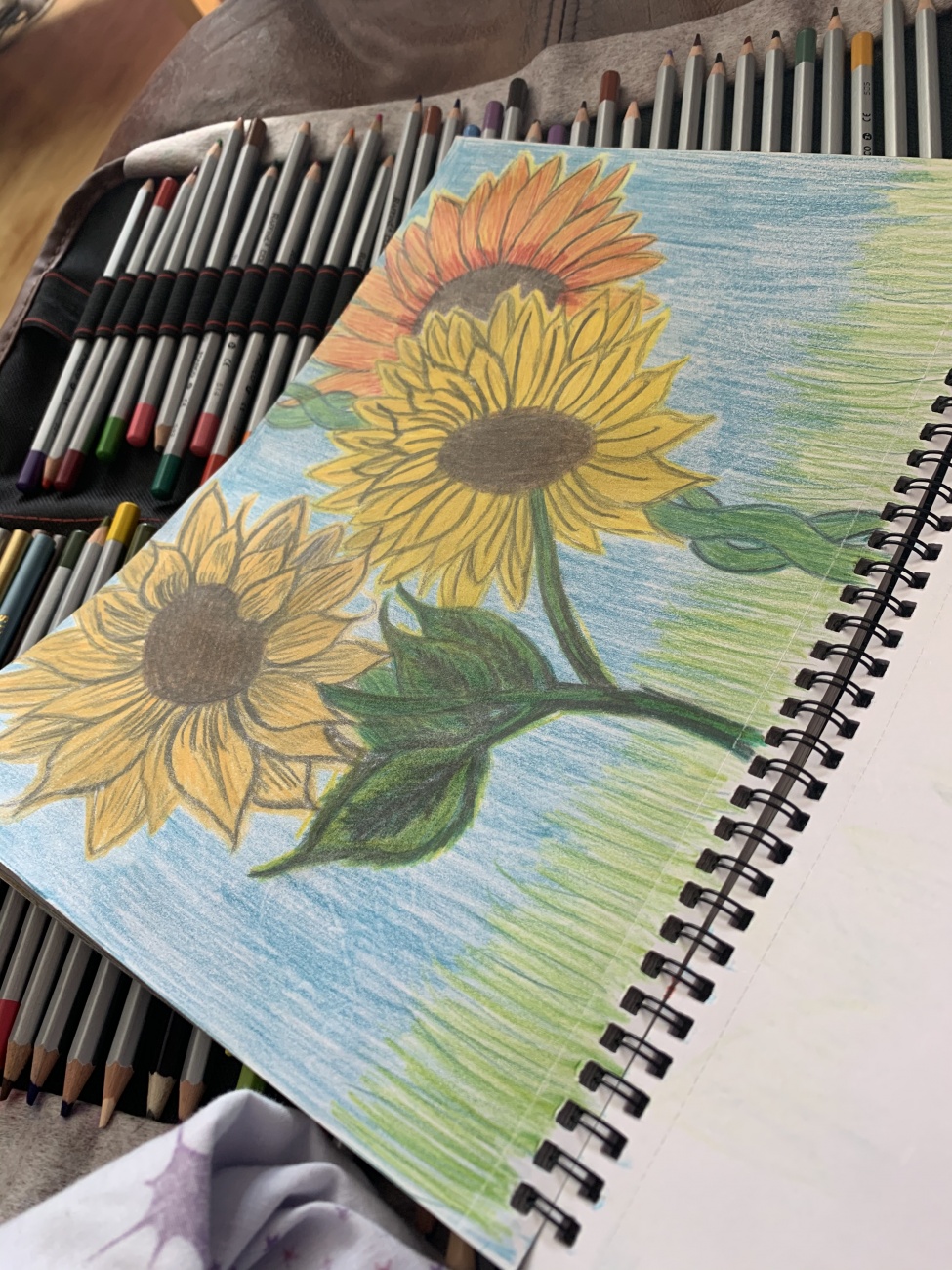 Sunflowers 🌻 