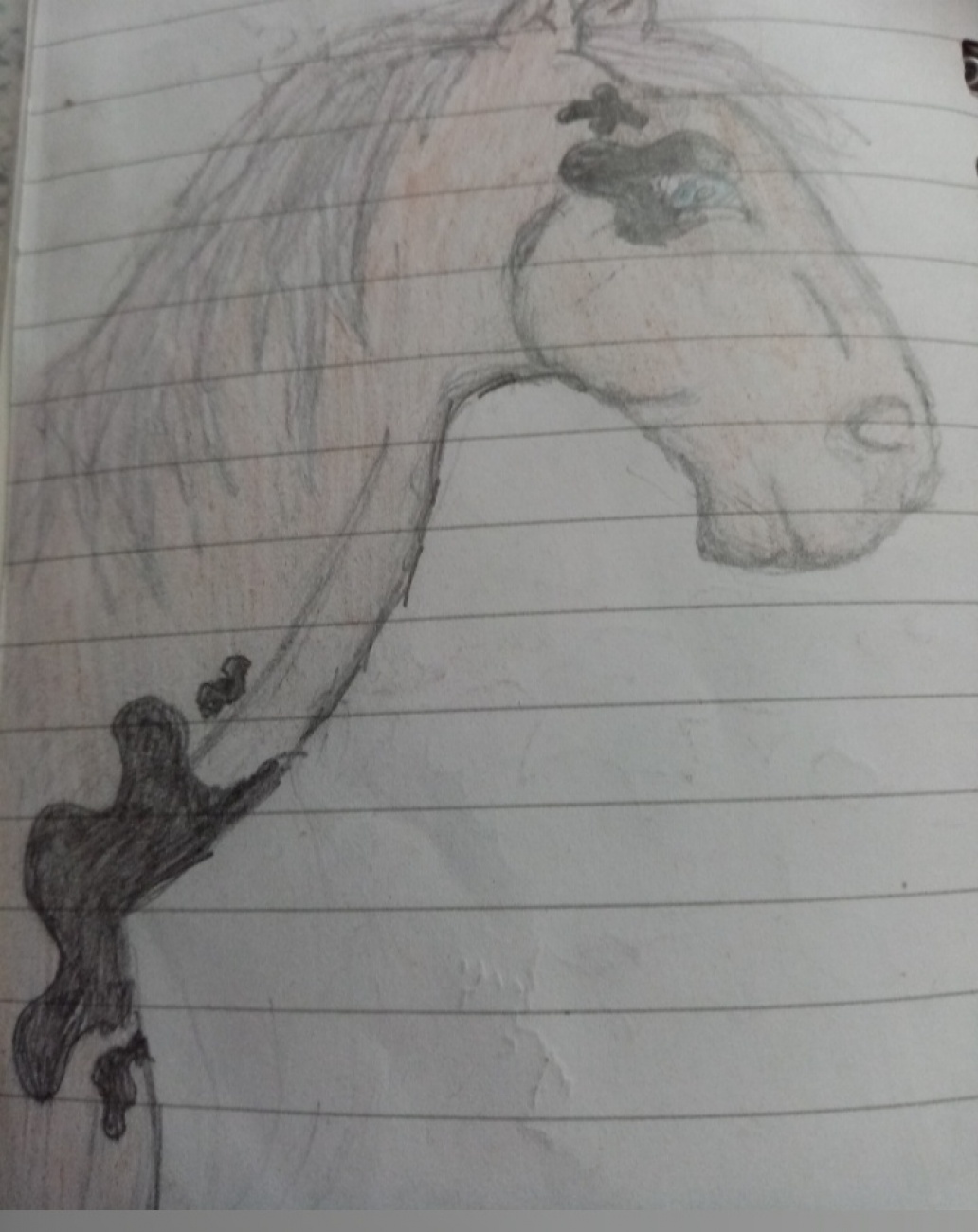 thought i would draw a horse seems as...
