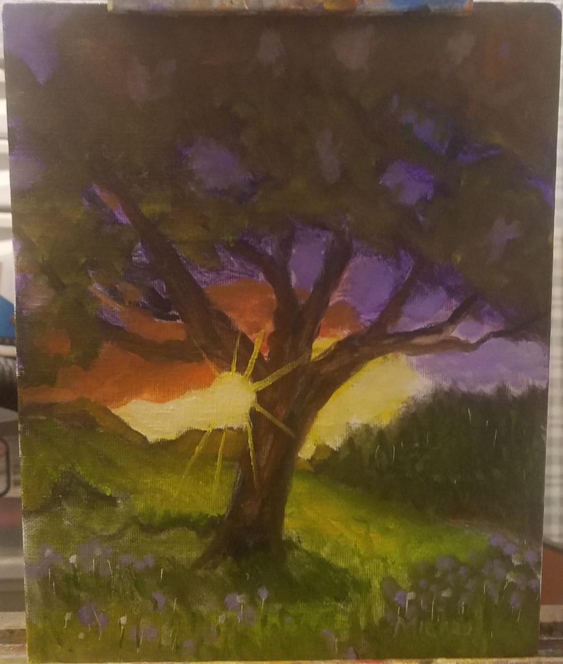 Tree at Sunrise