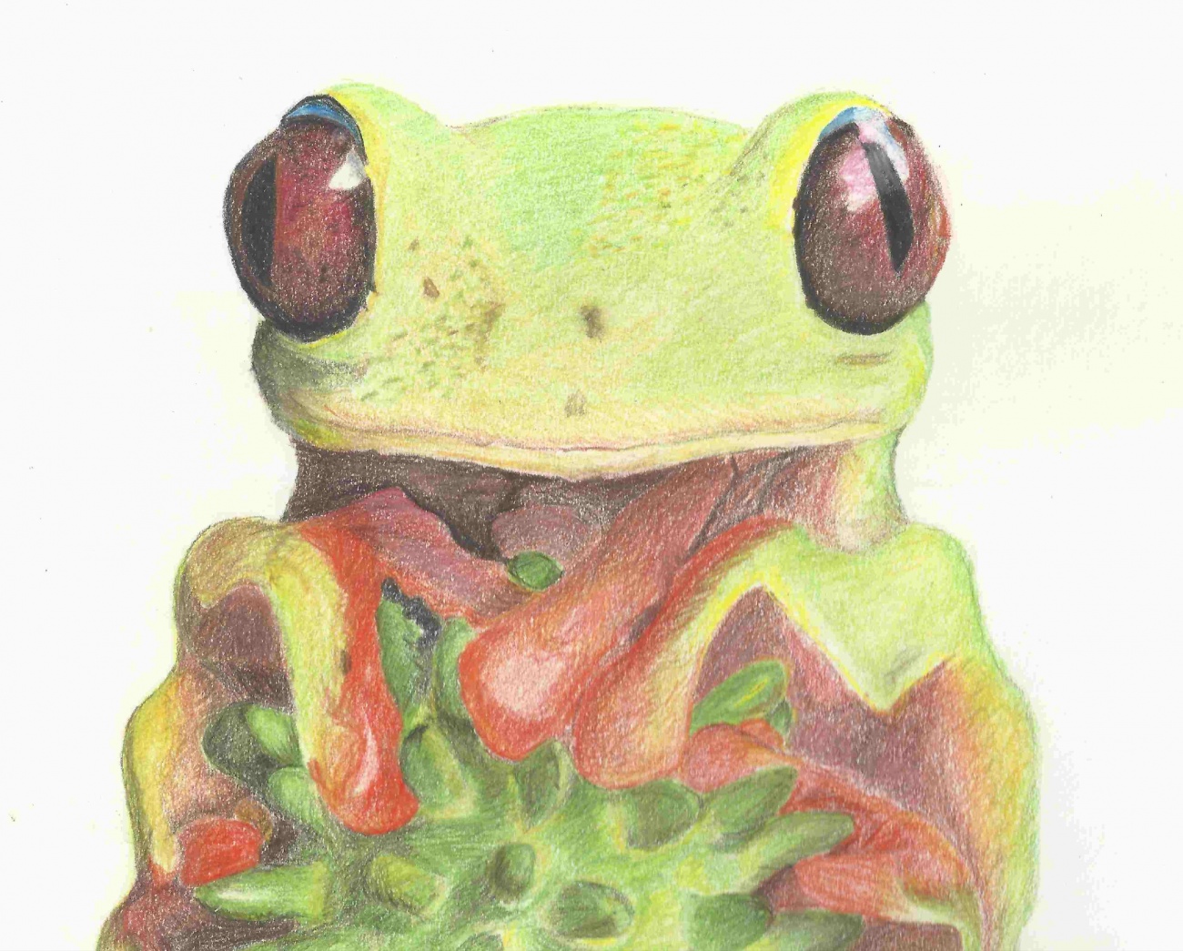 Treefrog